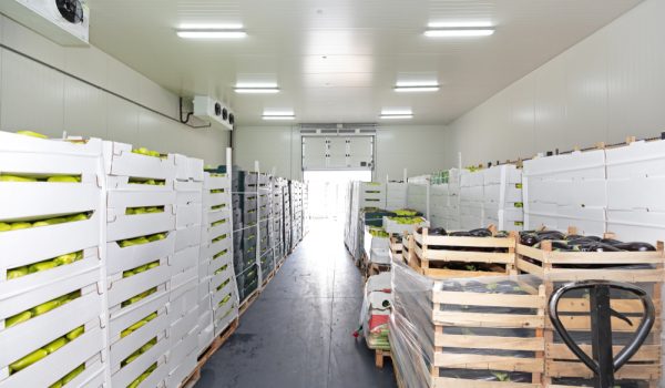 Fresh,Food,In,Boxes,At,Pallets,Cold,Storage